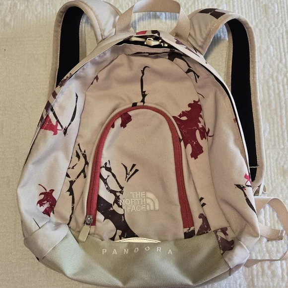 The North Face | Bags | Vintage North Face Pandora Mini  display picture 1